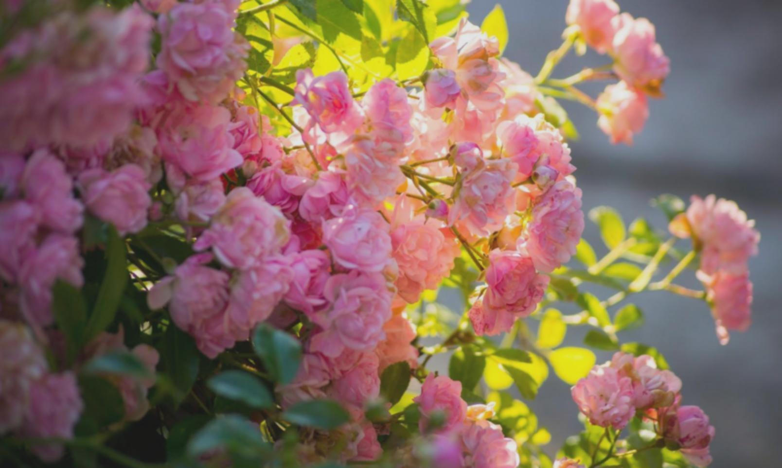 Custom event floral arrangement with seasonal blooms