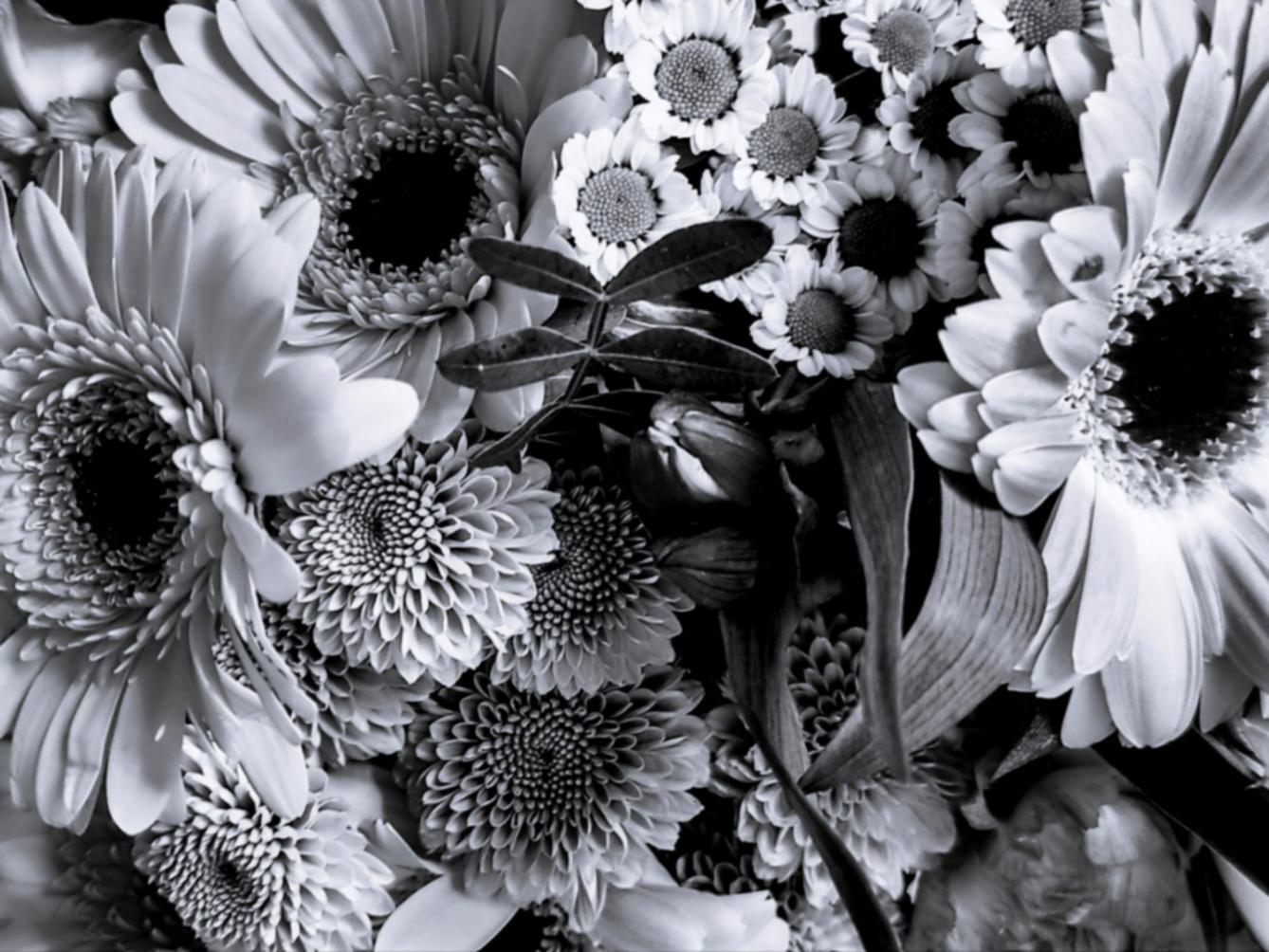 Preserved dried flower arrangement